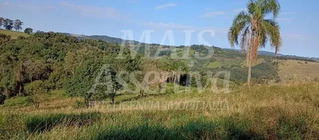 Exclente chacara de 2,3 hectares em Lomba Grande, Novo Hamburgo