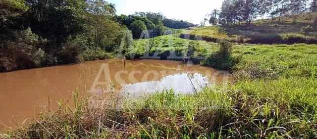 Exclente chacara de 2,3 hectares em Lomba Grande, Novo Hamburgo