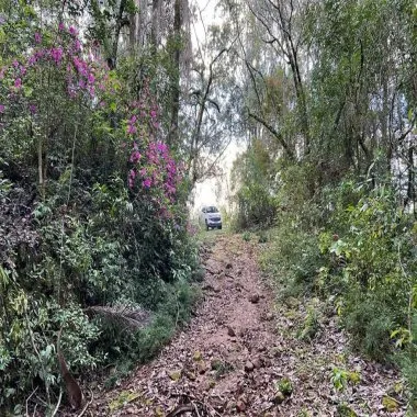 Excelente área de terra para venda em Gramado