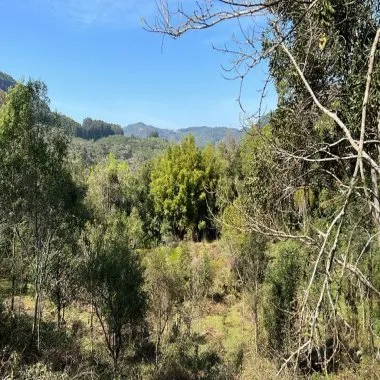 Área de terra para venda em Gramado
