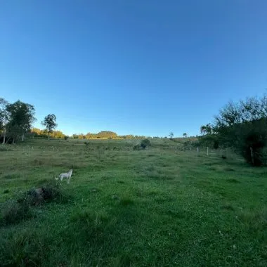Chácara de 10 hectares para venda em Lomba Grande, Novo Hamburgo