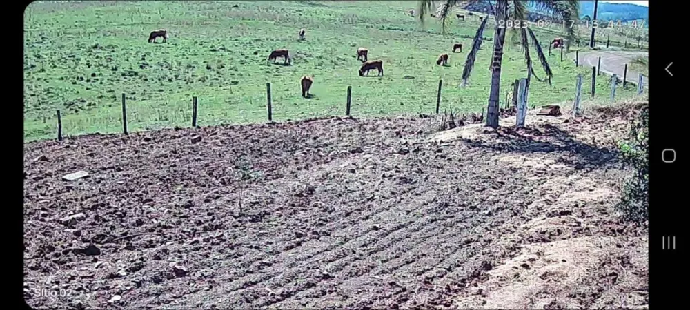 Chácara para Venda em Passo dos Ramos, Santo Antônio da Patrulha/RS.
