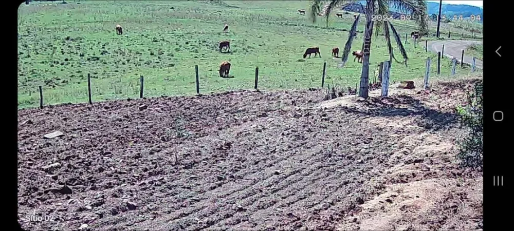 Chácara para Venda em Passo dos Ramos, Santo Antônio da Patrulha/RS.