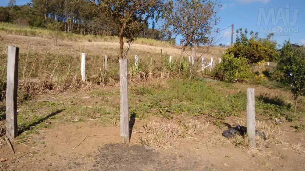 Chácara para Venda em Passo dos Ramos, Santo Antônio da Patrulha/RS.
