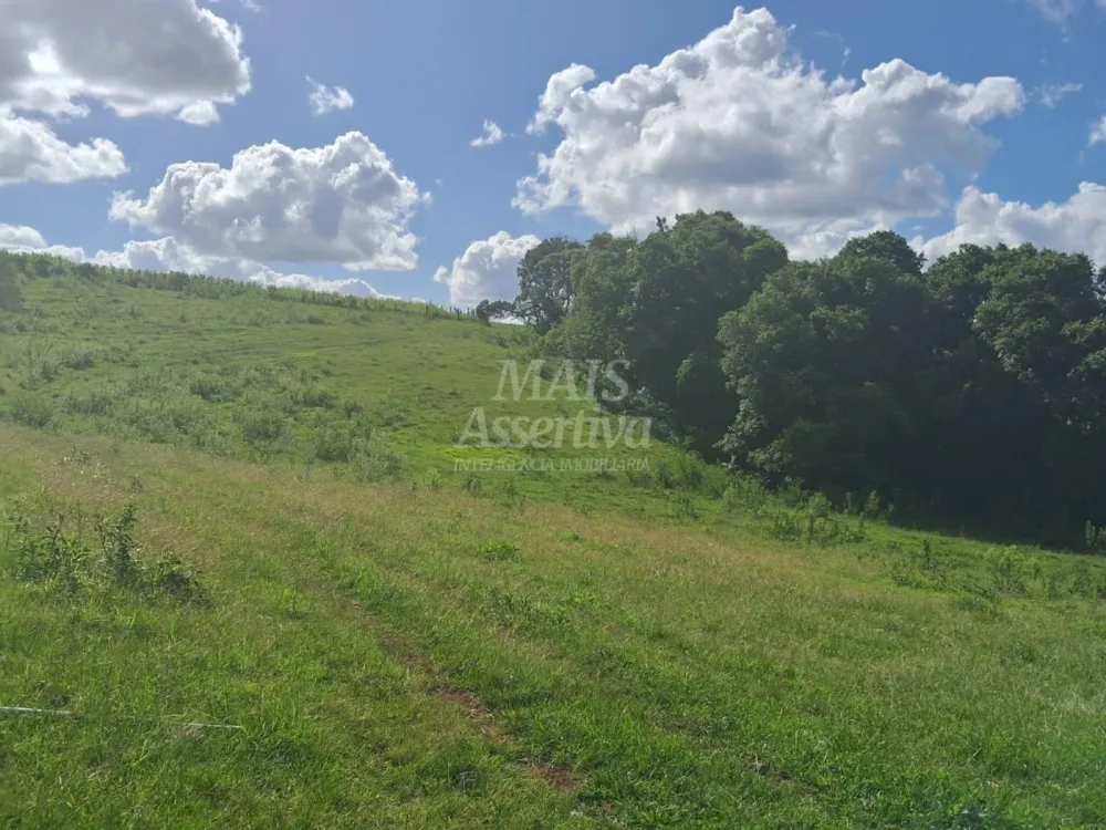 Área de Terras à venda, localizada em Taquara, ótima para plantação ou criação