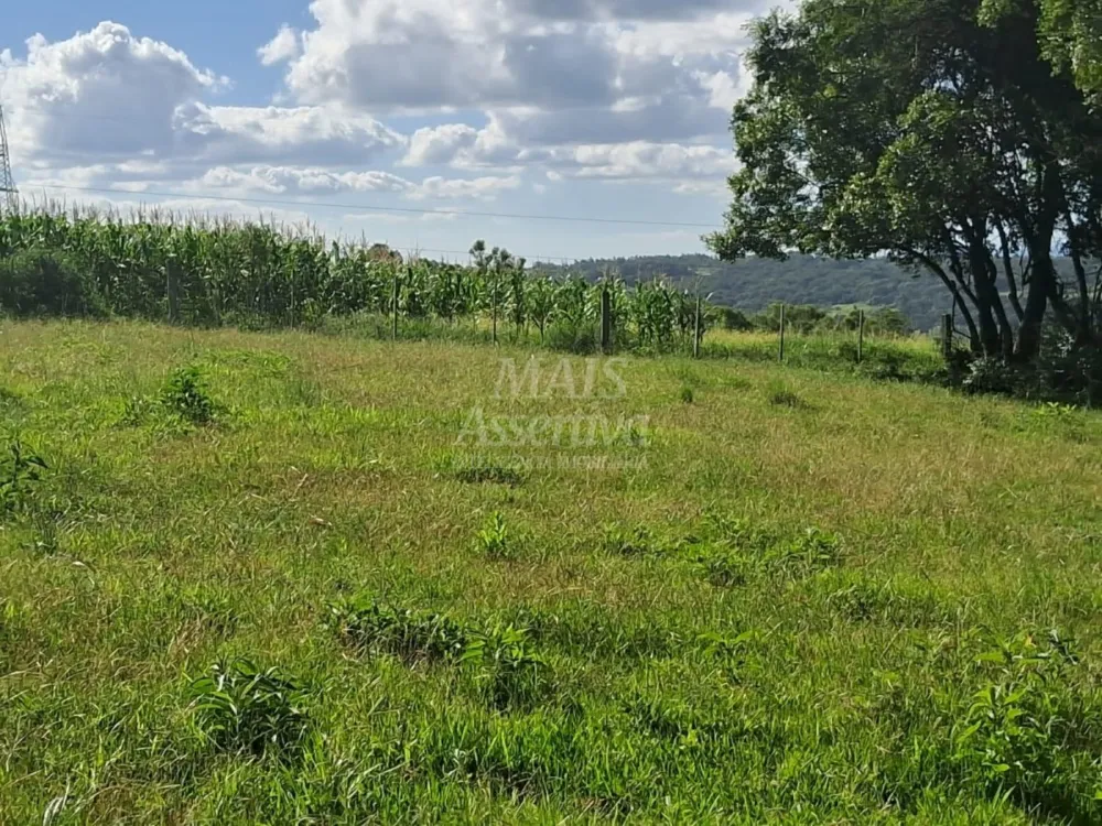 Área de Terras à venda, localizada em Taquara, ótima para plantação ou criação