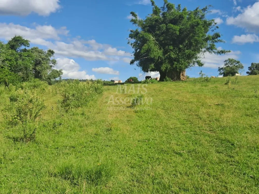 Área de Terras à venda, localizada em Taquara, ótima para plantação ou criação