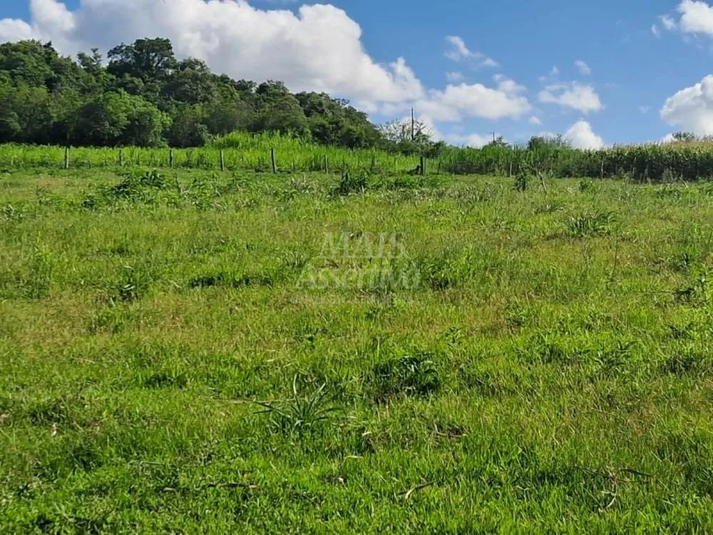 Área de Terras à venda, localizada em Taquara, ótima para plantação ou criação
