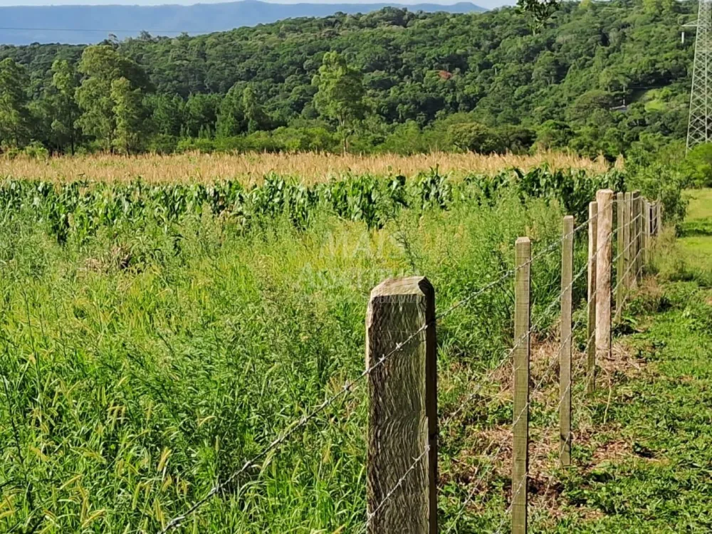 Área de Terras à venda, localizada em Taquara, ótima para plantação ou criação