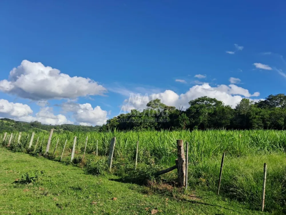 Área de Terras à venda, localizada em Taquara, ótima para plantação ou criação