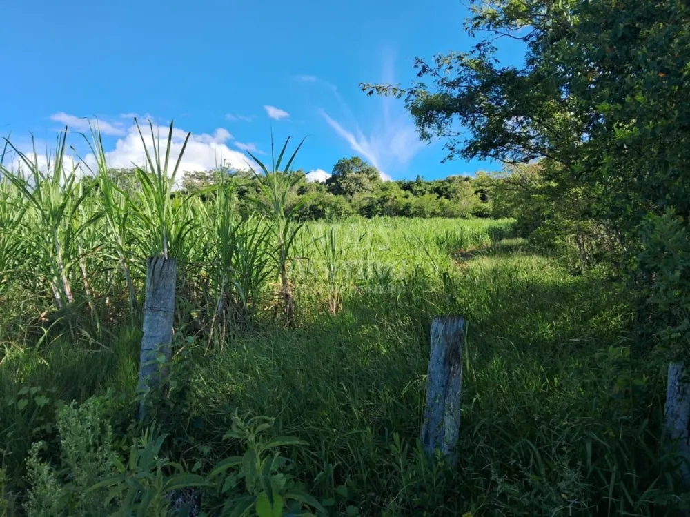 Área de Terras à venda, localizada em Taquara, ótima para plantação ou criação