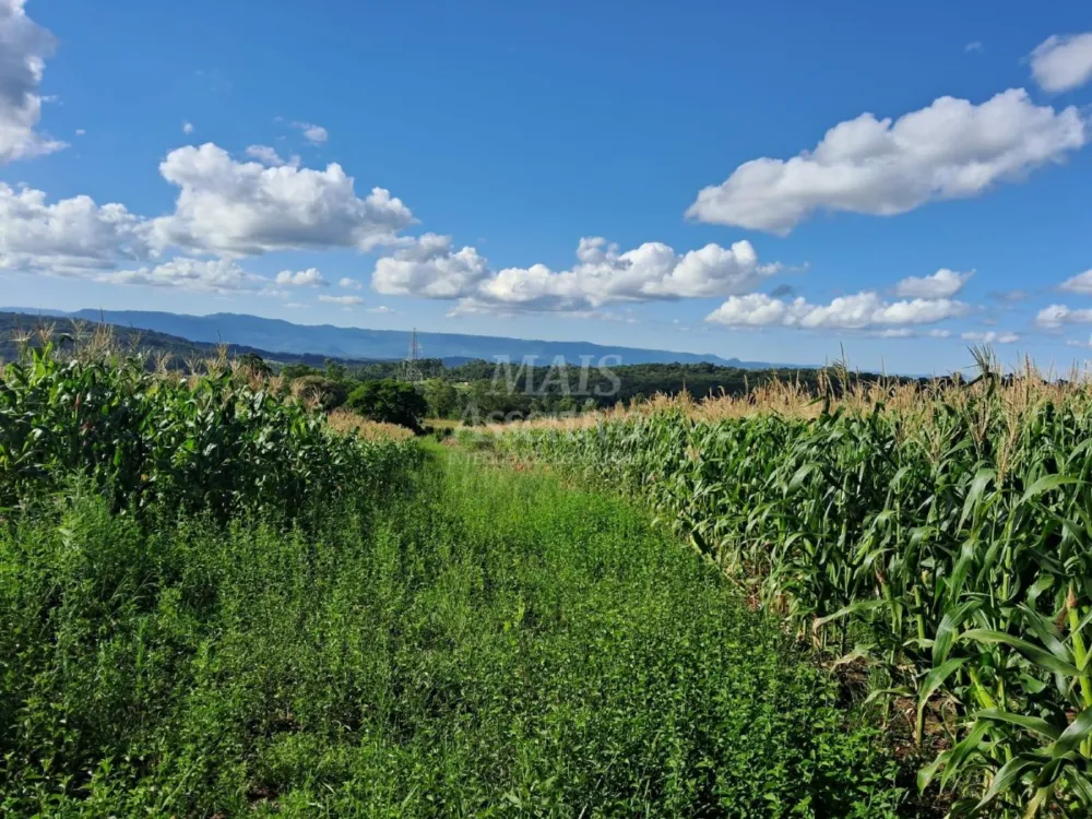 Área de Terras à venda, localizada em Taquara, ótima para plantação ou criação