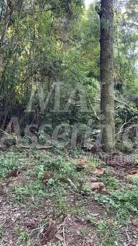 Área  para venda em Taquara, Fazenda Fialho - 4.300m² 