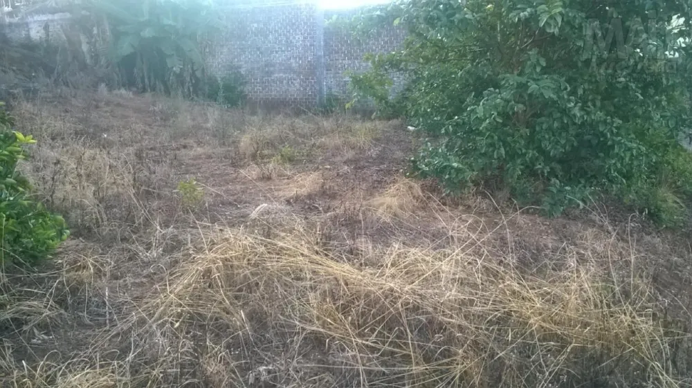 Terreno para Venda em Novo Hamburgo / RS no bairro Primavera