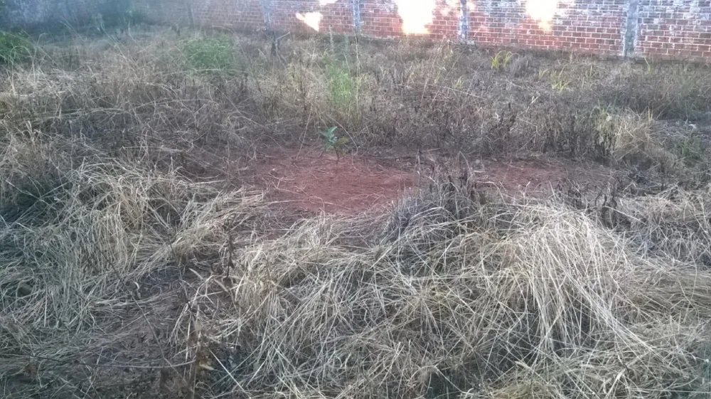 Terreno para Venda em Novo Hamburgo / RS no bairro Primavera