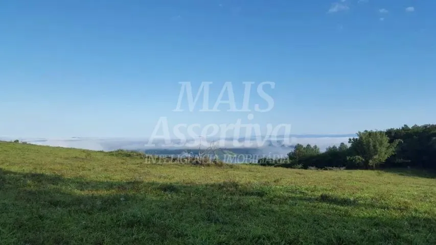 Excelente sítio para venda localizado no bairro Morungava em Gravataí/RS 