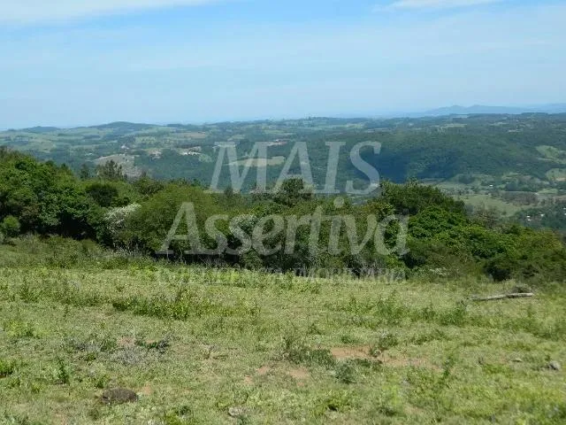 Excelente sítio para venda localizado no bairro Morungava em Gravataí/RS 