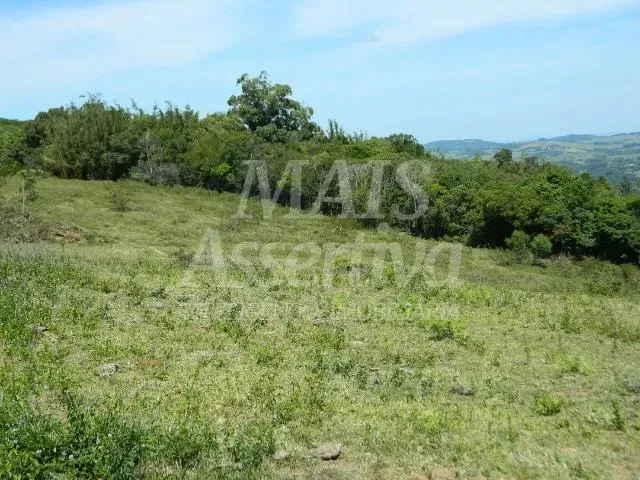 Excelente sítio para venda localizado no bairro Morungava em Gravataí/RS 