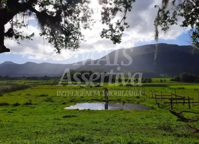 Excelente Sítio à venda em Aguapés, Osório/RS - 16 hectares