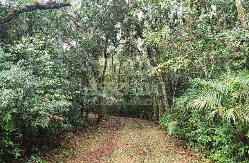 Excelente propriedade as margens da Lagoa das Malvas em Maquiné/RS - AIRBNB 