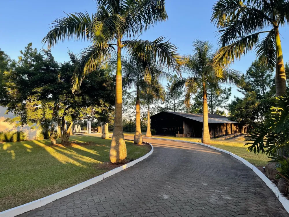 Belíssima chácara de 6"ha" para venda em Miraguaia Santo Antônio da Patrulha