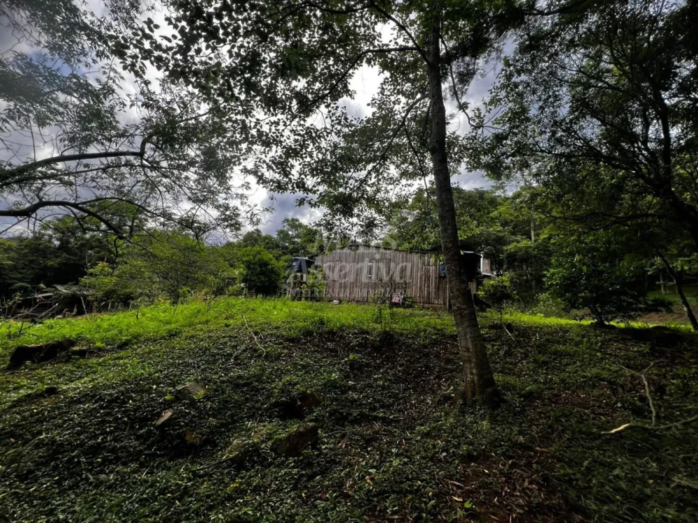 Chacara para venda em Campo Bom, Quatro Colônias Norte de 5.000m² 