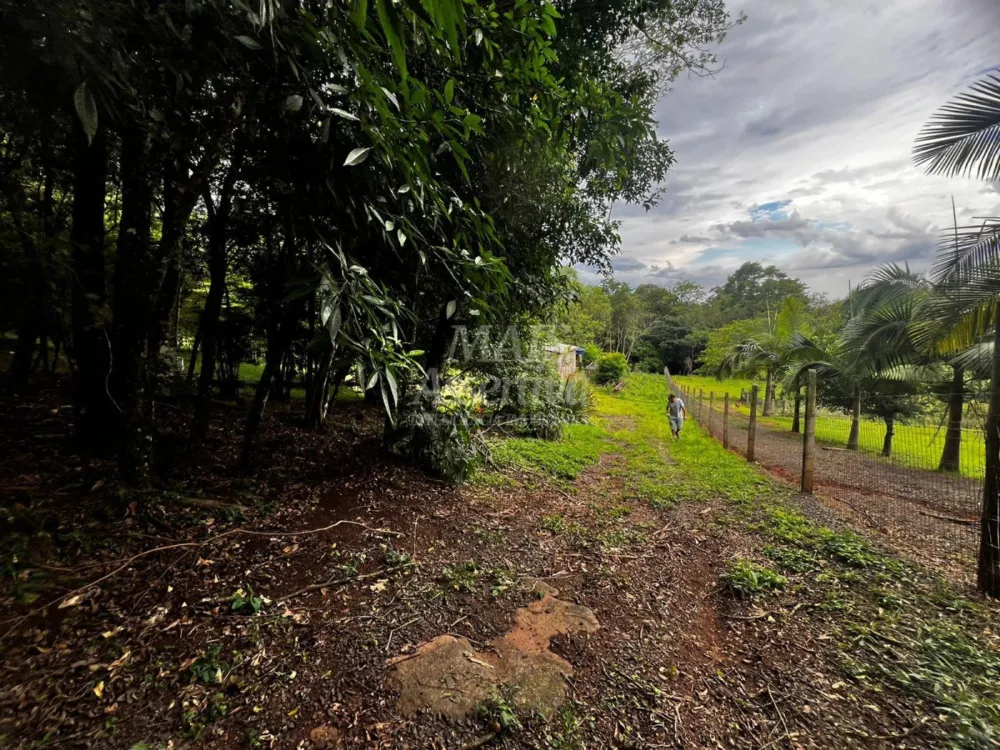 Chacara para venda em Campo Bom, Quatro Colônias Norte de 5.000m² 