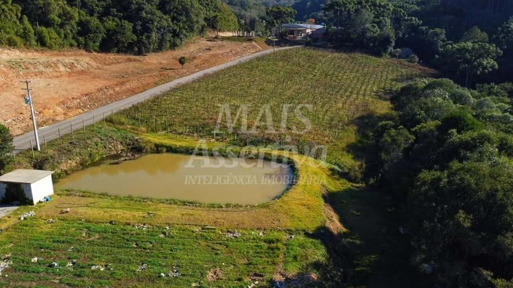 Chácara de 70.350,51 m² para venda em Flores da Cunha