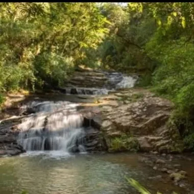 Área de Terreno com 57,75 Hectares em Taquara/RS 