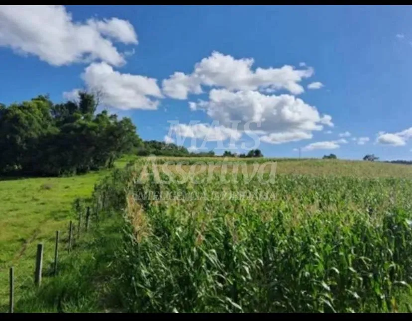 Área de Terreno com 57,75 Hectares em Taquara/RS 