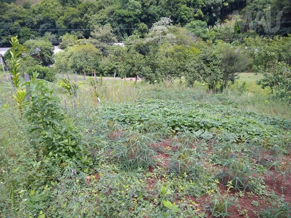 Terreno para  venda Alto Caraá - 800m² 