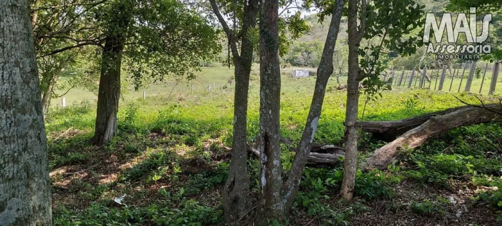 Terreno para Venda em Santo Antônio da Patrulha / RS