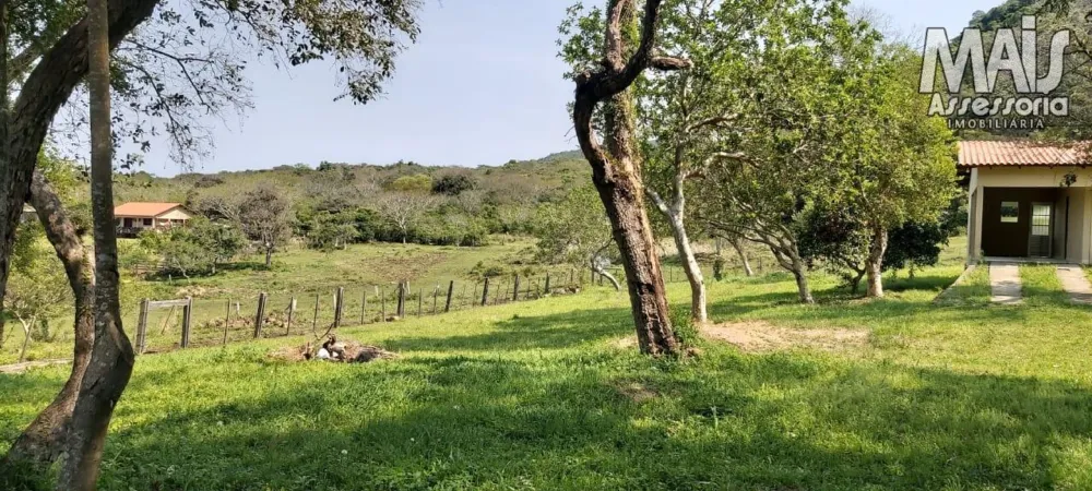 Terreno para Venda em Santo Antônio da Patrulha / RS
