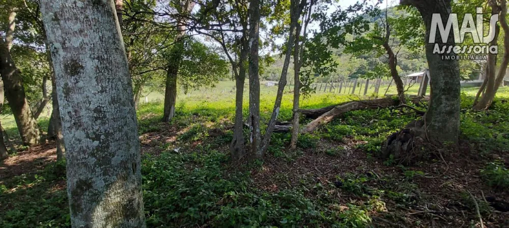Terreno para Venda em Santo Antônio da Patrulha / RS