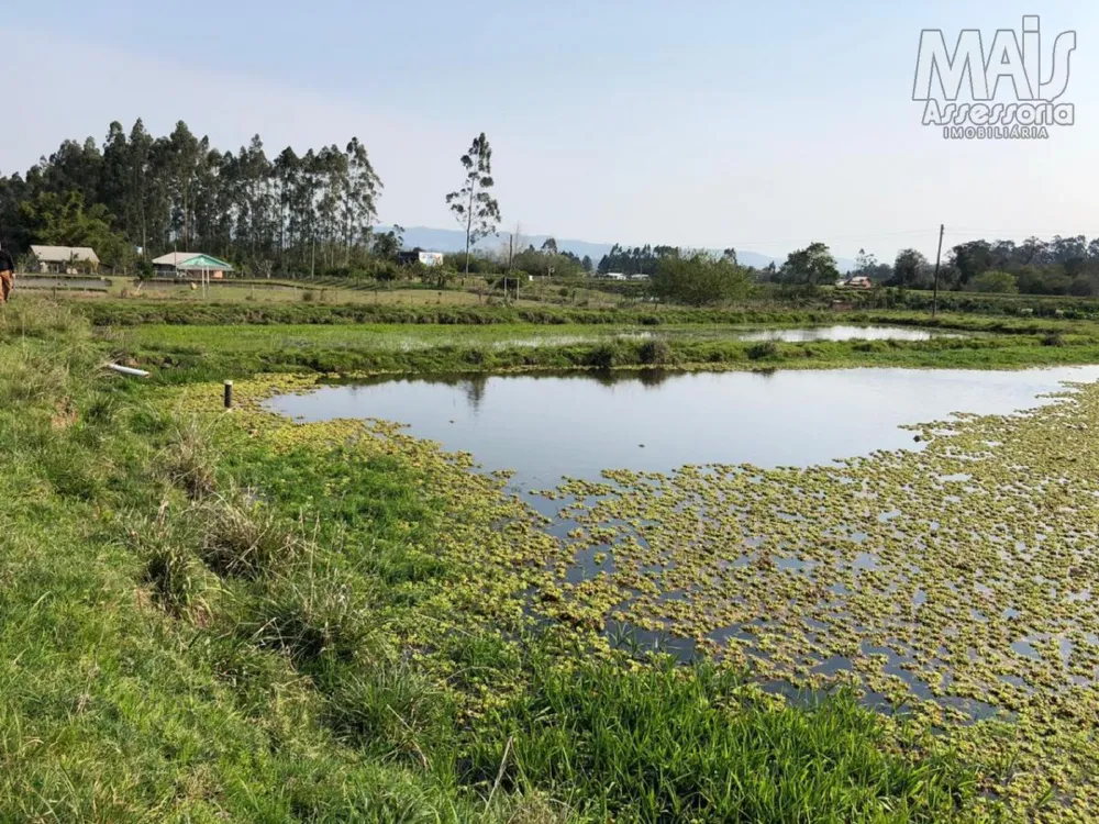Chácara para Venda em Santo Antônio da Patrulha / RS no bairro Pinheirinhos
