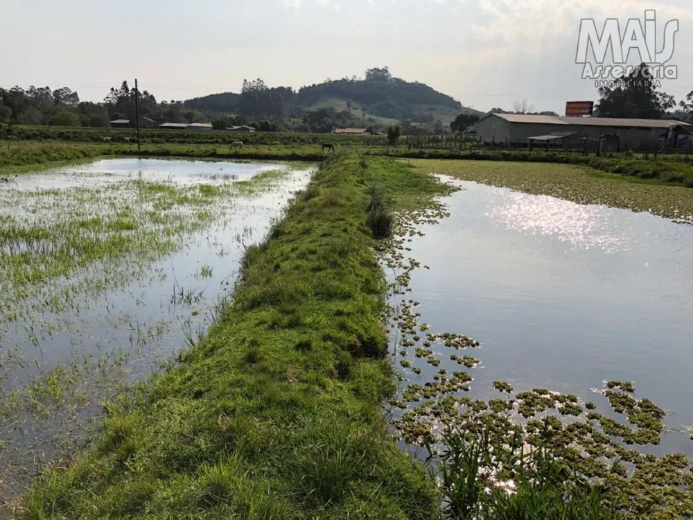 Chácara para Venda em Santo Antônio da Patrulha / RS no bairro Pinheirinhos