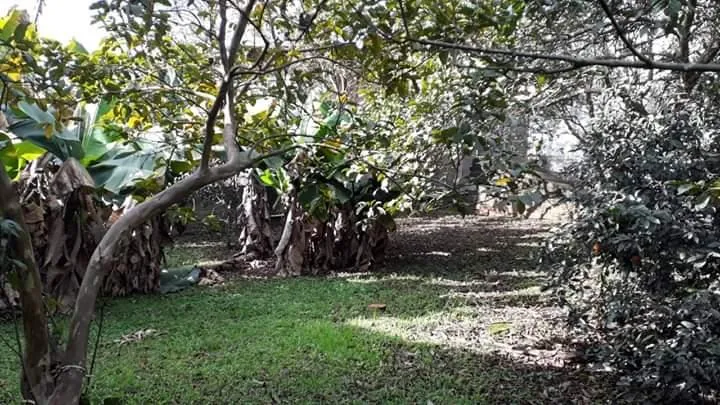 Terreno para Venda em São Leopoldo / RS no bairro Arroio da Manteiga
