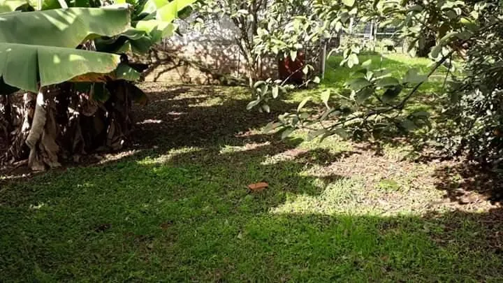 Terreno para Venda em São Leopoldo / RS no bairro Arroio da Manteiga