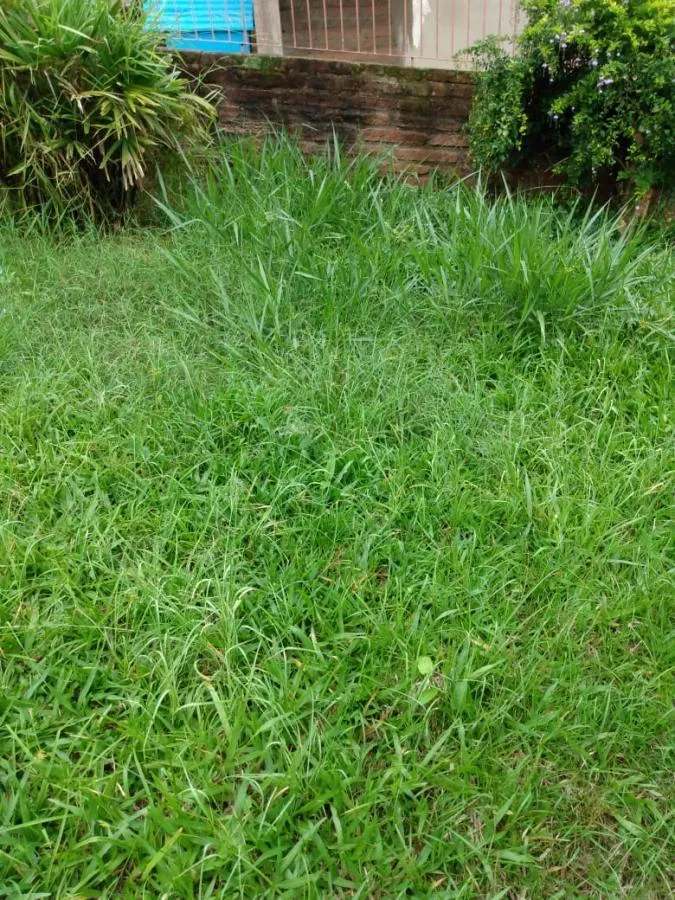 Terreno para Venda em São Leopoldo / RS no bairro Arroio da Manteiga
