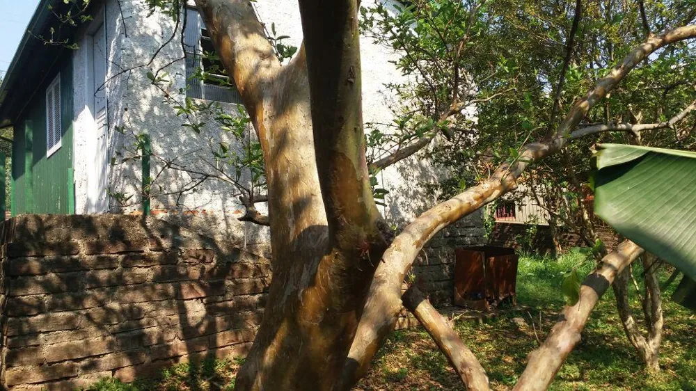 Terreno para Venda em São Leopoldo / RS no bairro Arroio da Manteiga