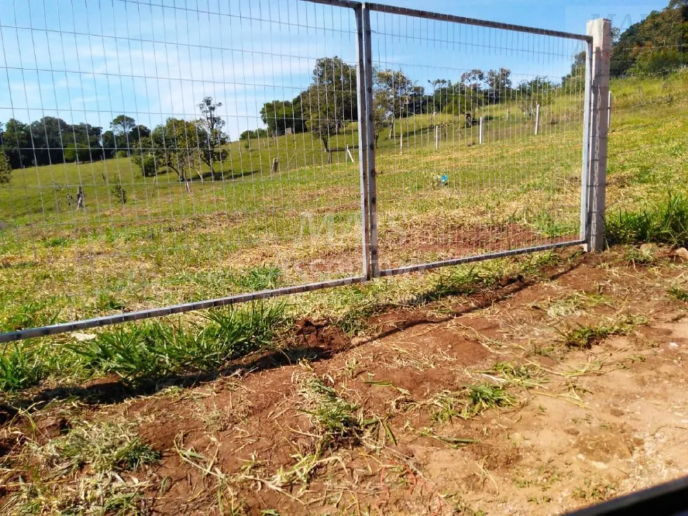 Chácara para Venda em Taquara / RS no bairro Fazenda Fialho