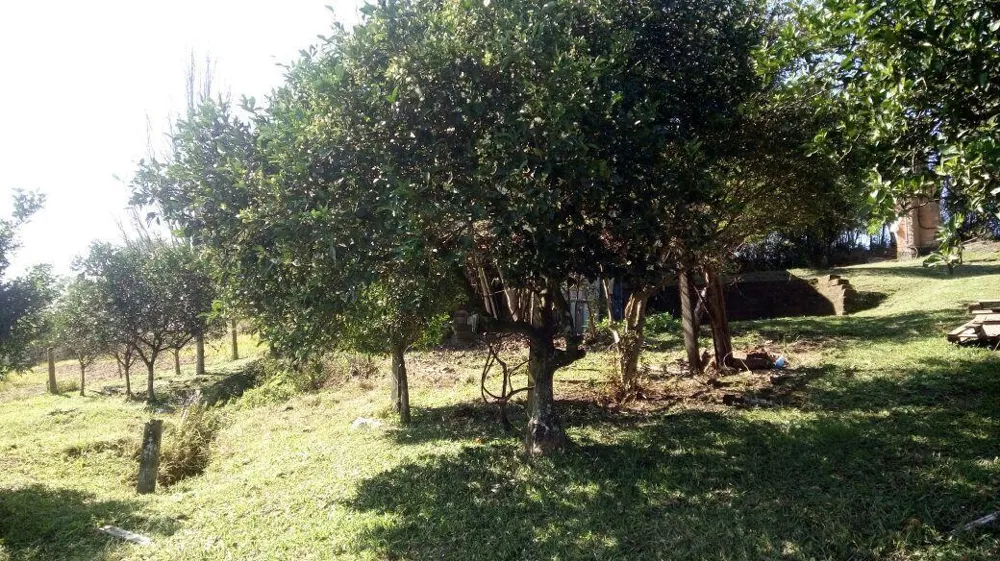 Chácara para Venda em Taquara / RS no bairro Santa Cruz da Concórdia
