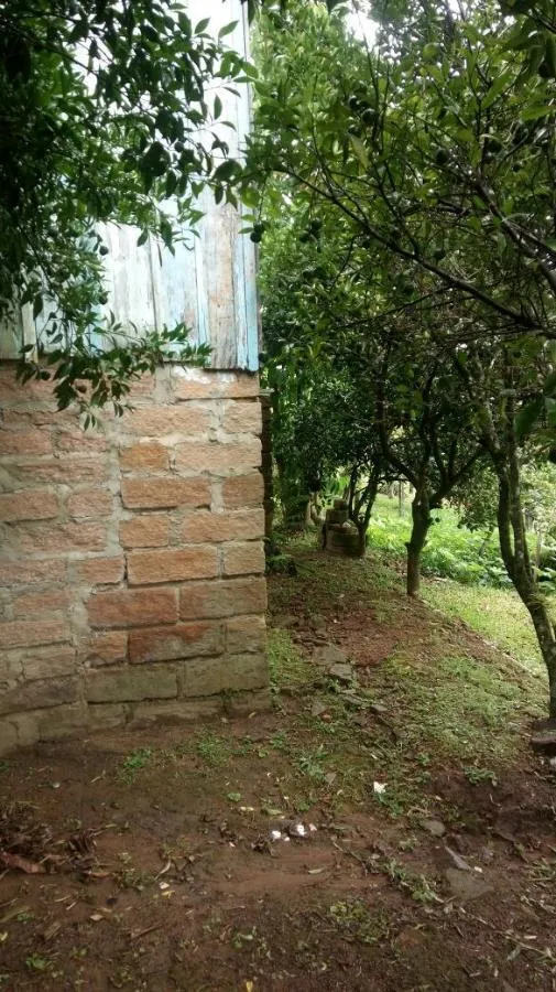 Chácara para Venda em Taquara / RS no bairro Santa Cruz da Concórdia