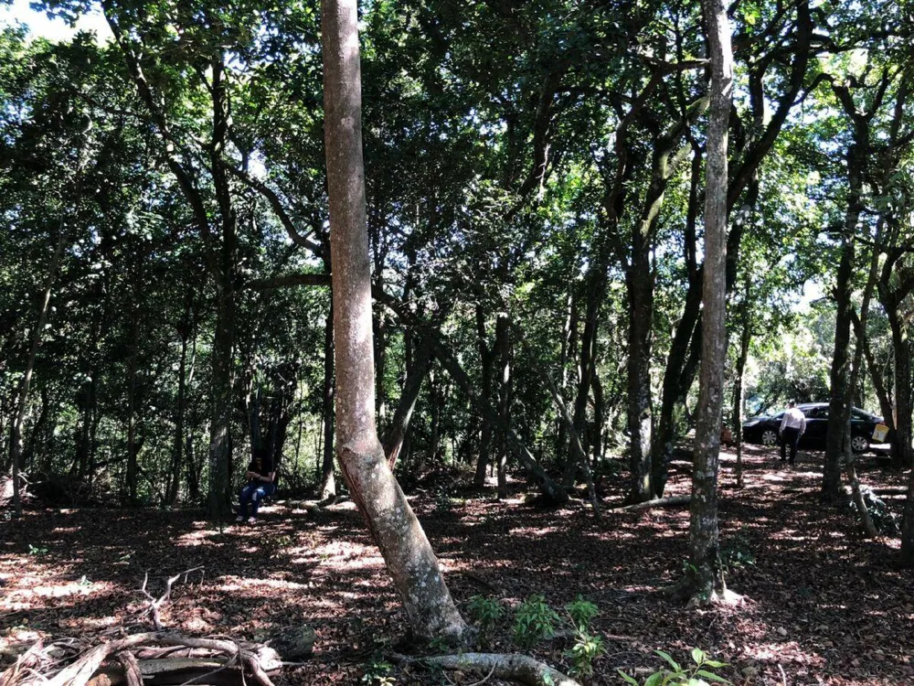 Chácara para  venda , localizado em São João do Deserto, Lomba Grande em Novo Hamburgo/RS.