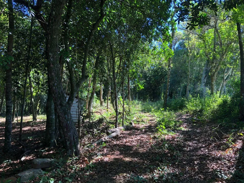 Chácara para  venda , localizado em São João do Deserto, Lomba Grande em Novo Hamburgo/RS.