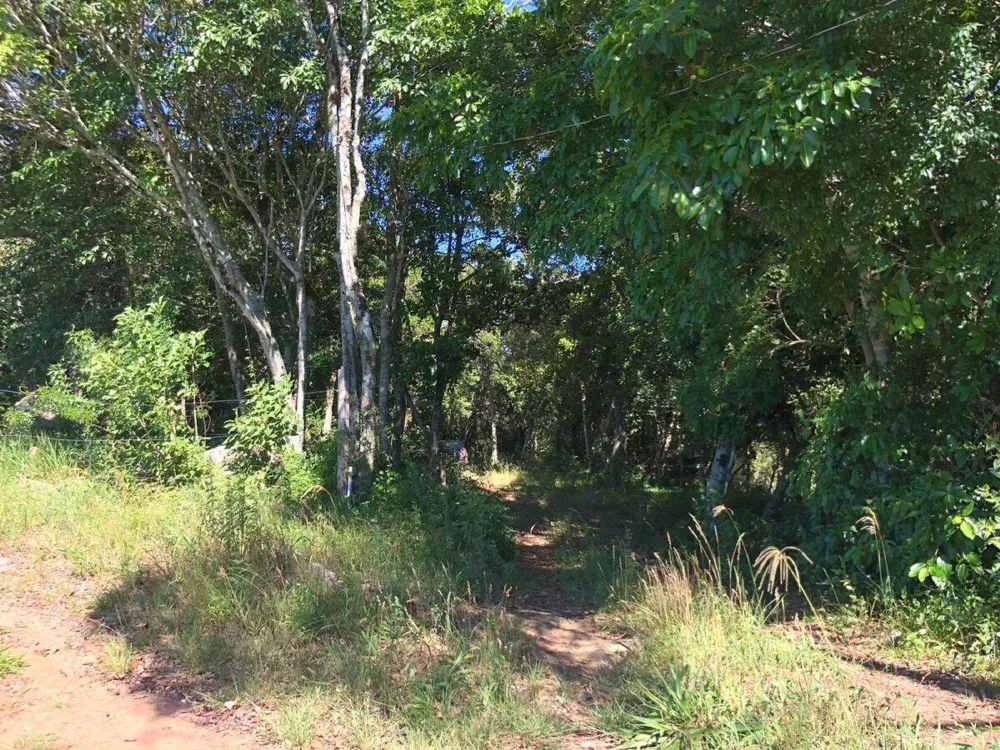 Chácara para  venda , localizado em São João do Deserto, Lomba Grande em Novo Hamburgo/RS.