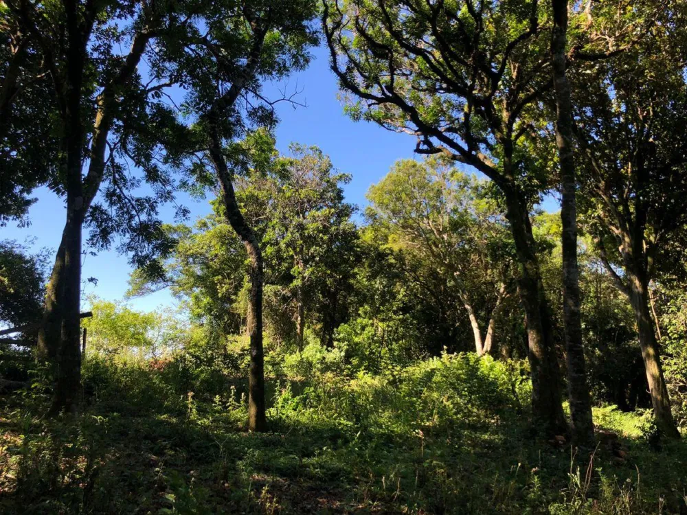 Chácara para  venda , localizado em São João do Deserto, Lomba Grande em Novo Hamburgo/RS.