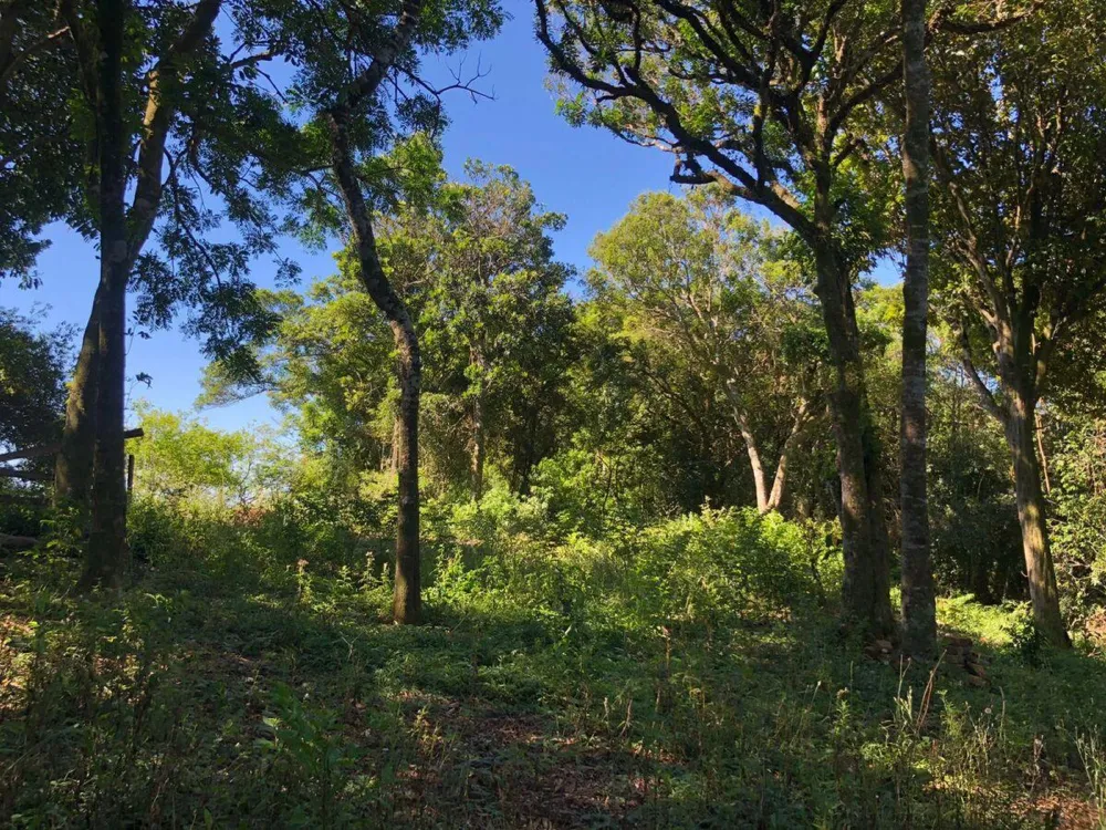 Chácara para  venda , localizado em São João do Deserto, Lomba Grande em Novo Hamburgo/RS.