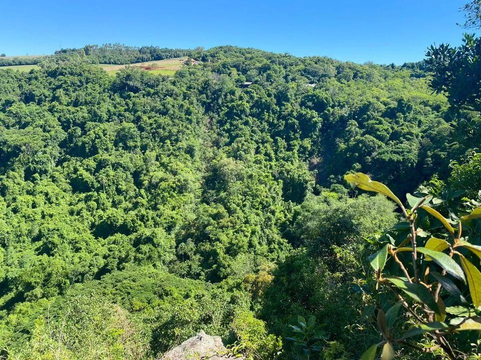 Chácara para  venda , localizado em São João do Deserto, Lomba Grande em Novo Hamburgo/RS.