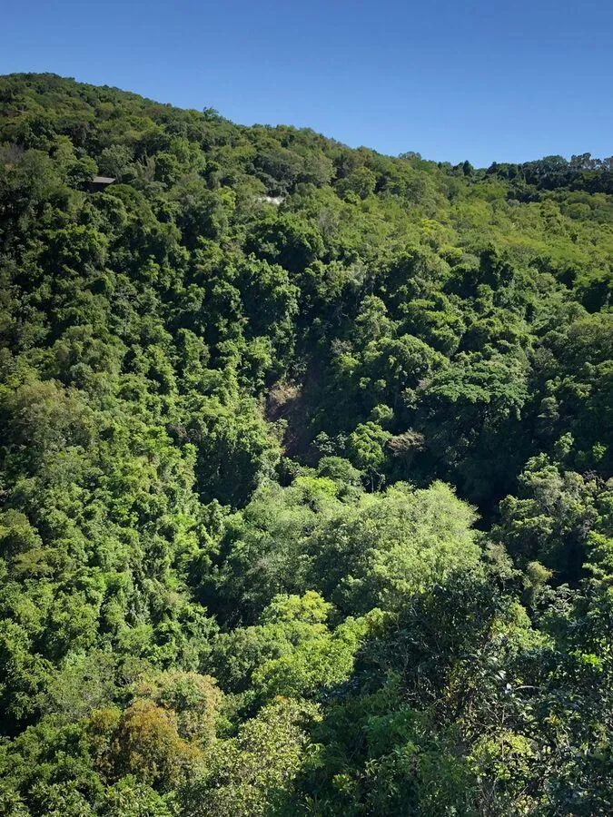 Chácara para  venda , localizado em São João do Deserto, Lomba Grande em Novo Hamburgo/RS.